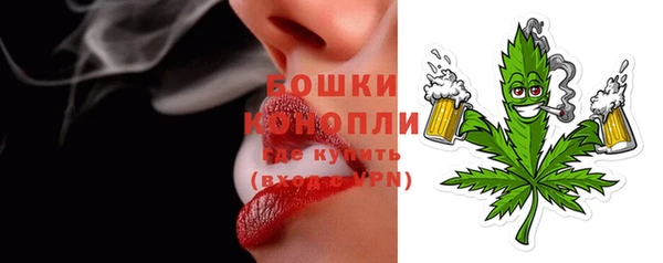 a pvp Новозыбков