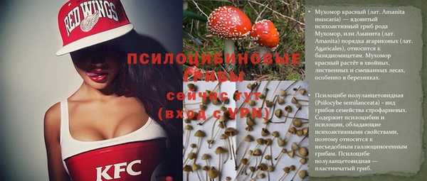 скорость Новокубанск