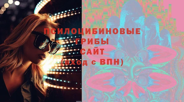 гашик Нефтекумск