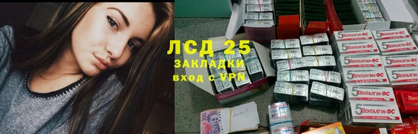 прущие крисы Новодвинск