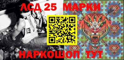 мяу мяу мука Кандалакша
