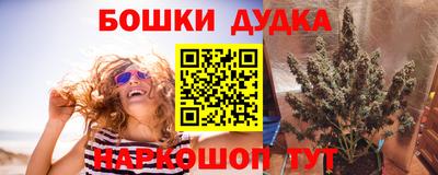 мяу мяу мука Кандалакша