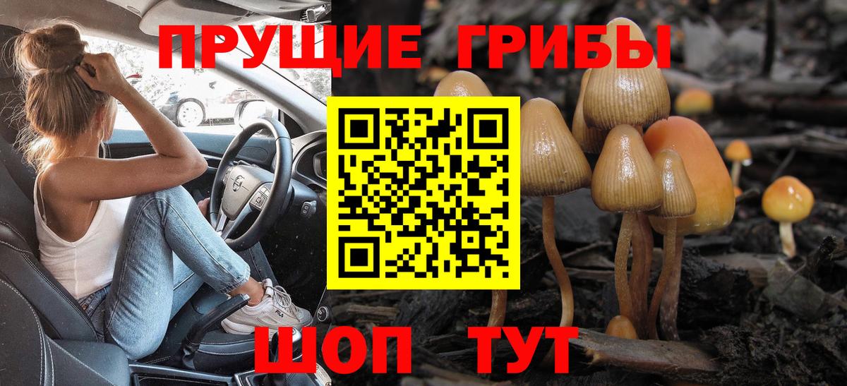 Псилоцибиновые грибы Cubensis Мегион