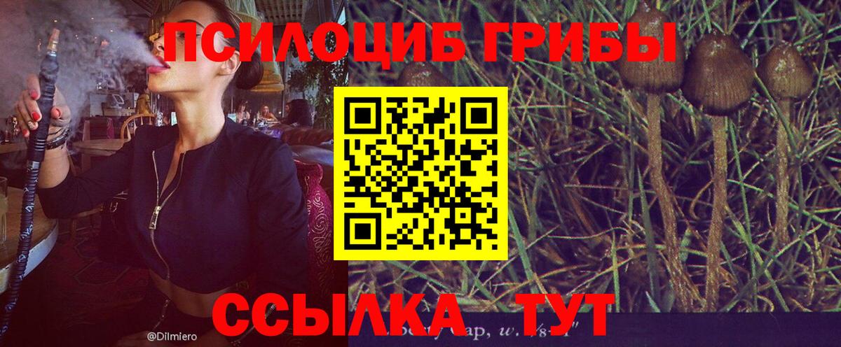 Галлюциногенные грибы ЛСД Мегион